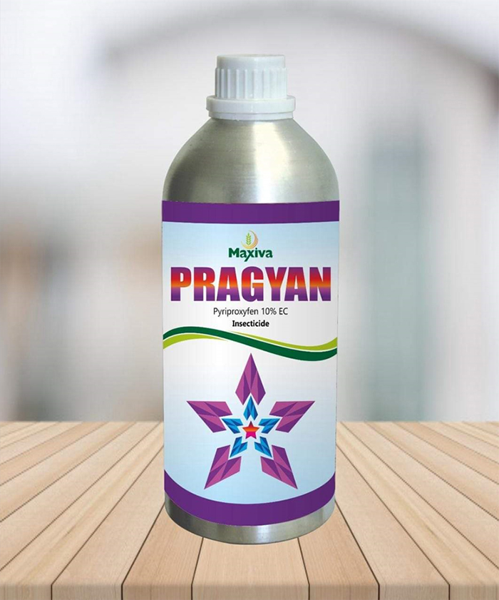 pragyan